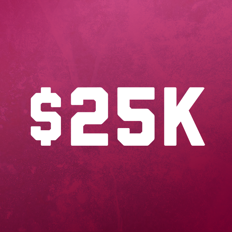 MM - CHAMPION — $25,000/YEAR